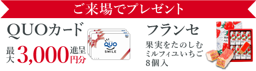 前日までのご予約でQUOカード最大5000円分プレゼント